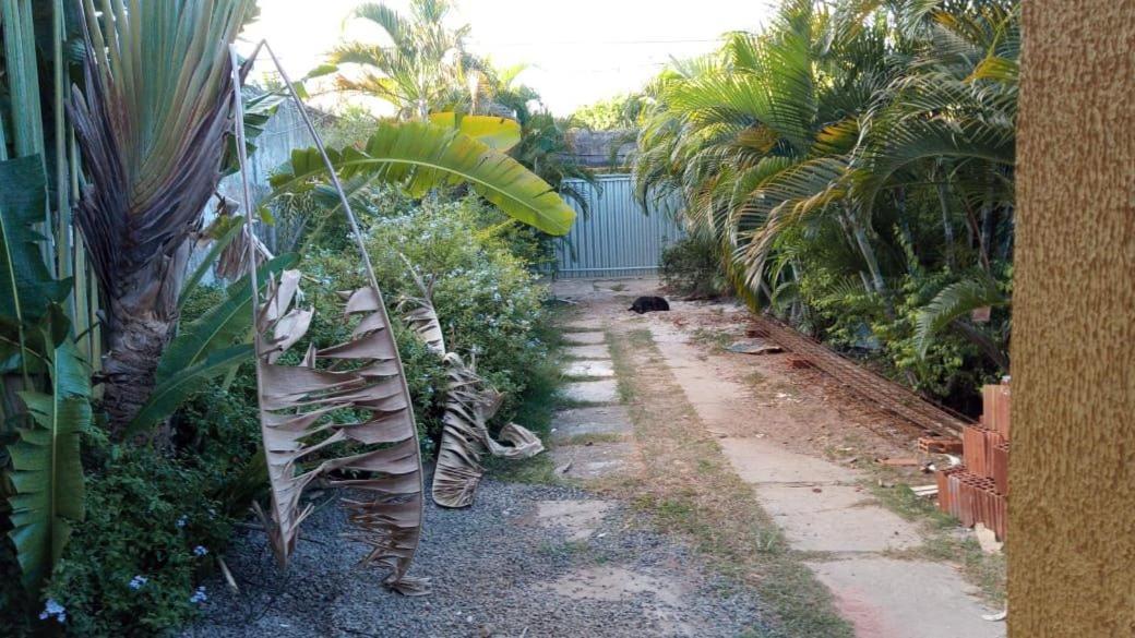 Zen Villas - Chales, Bem-Estar E Conexao Com A Natureza Lauro de Freitas Exterior foto