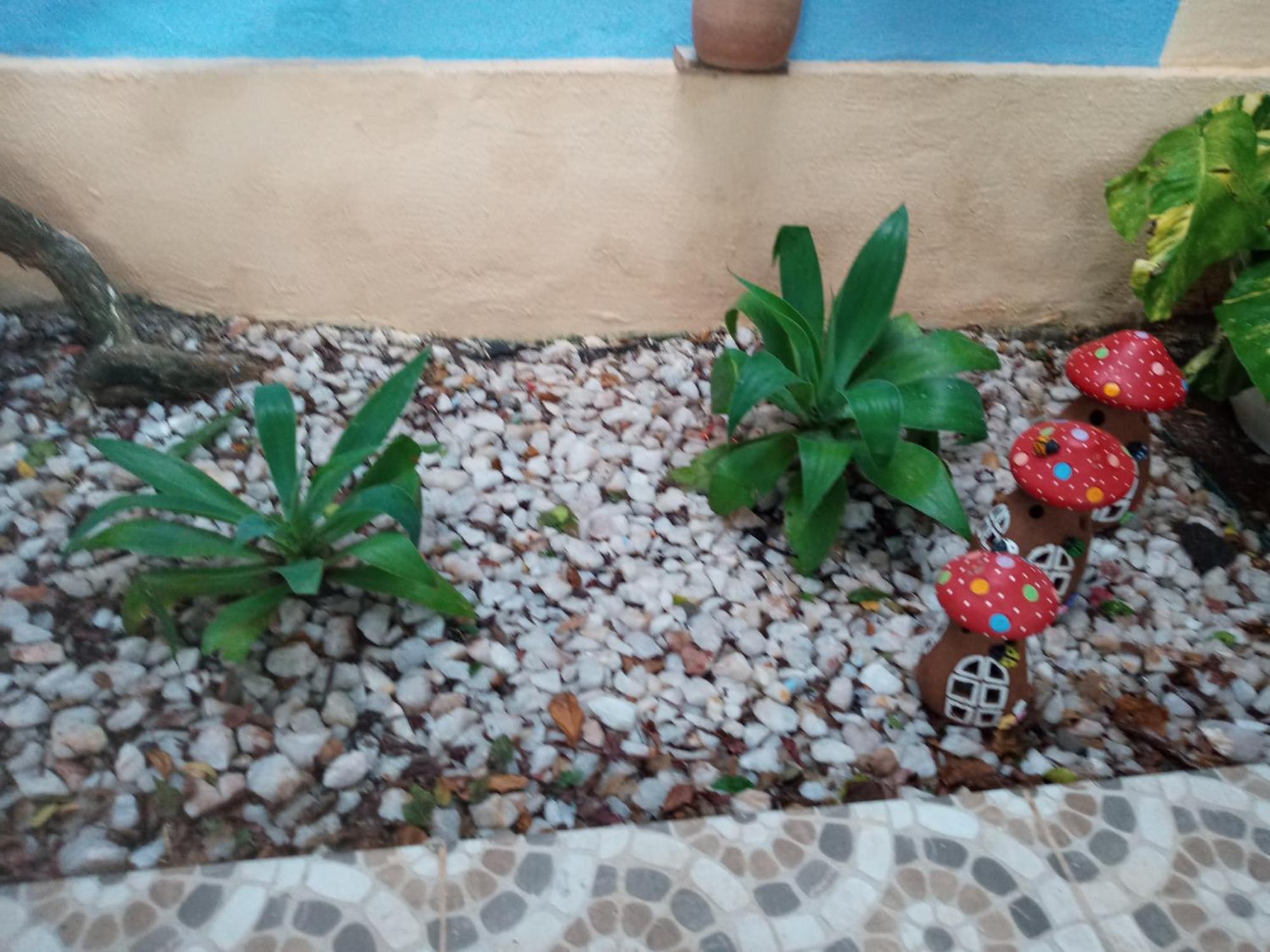 Zen Villas - Chales, Bem-Estar E Conexao Com A Natureza Lauro de Freitas Exterior foto