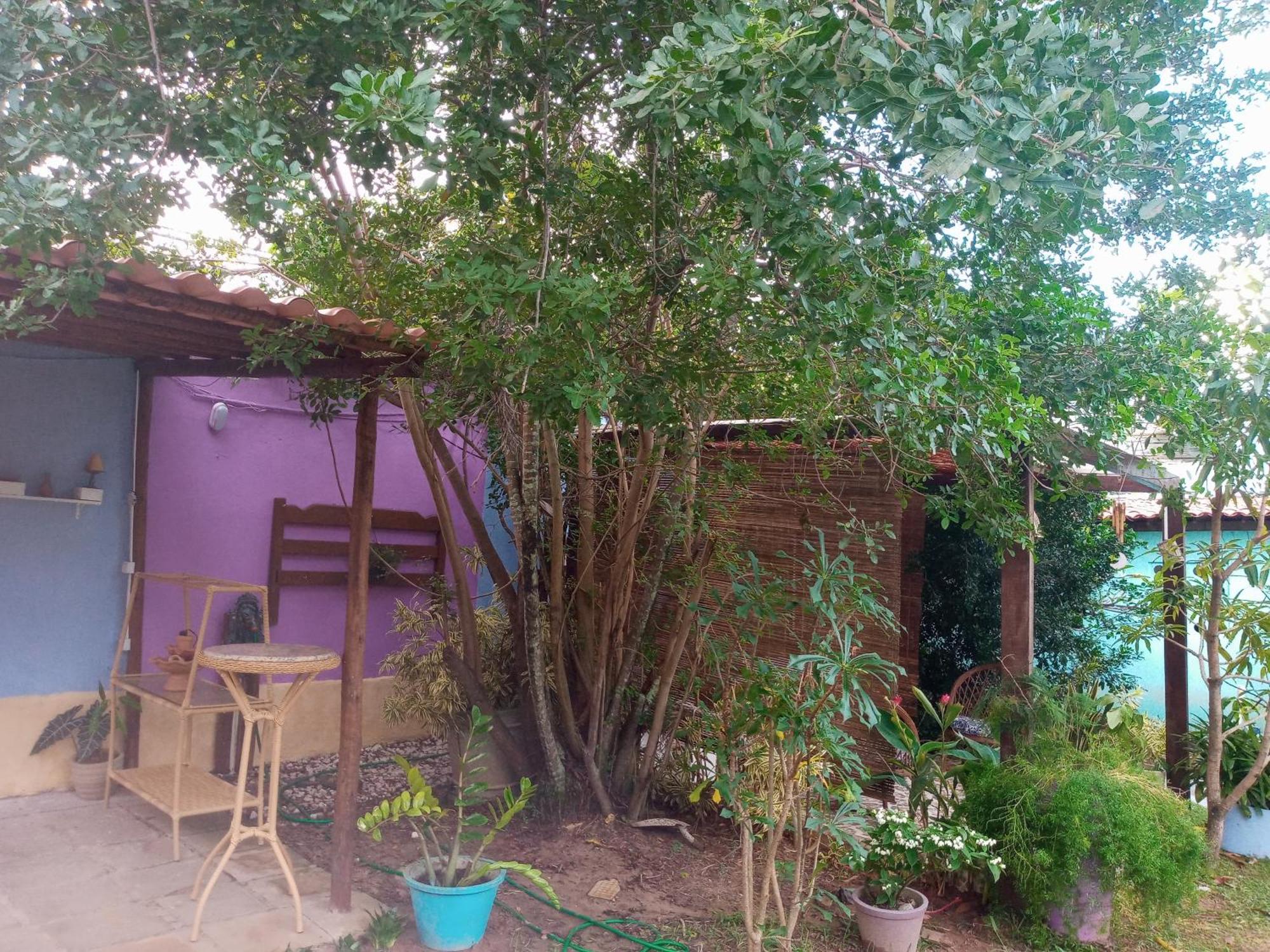 Zen Villas - Chales, Bem-Estar E Conexao Com A Natureza Lauro de Freitas Exterior foto