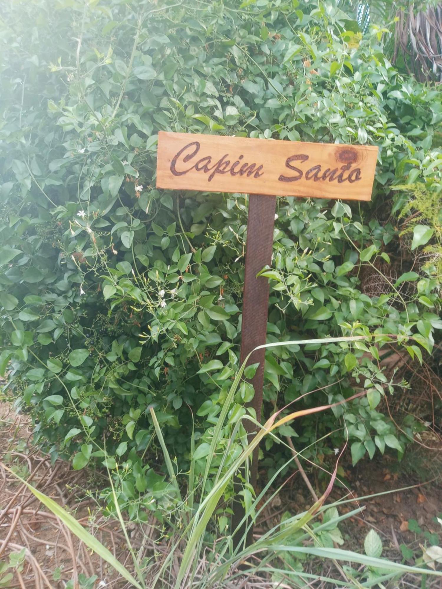 Zen Villas - Chales, Bem-Estar E Conexao Com A Natureza Lauro de Freitas Exterior foto